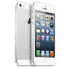 Apple iPhone 5 64Gb white - Кизилюрт